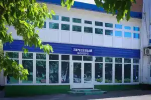 Санаторий «Красный Десант», Дмитриадовка