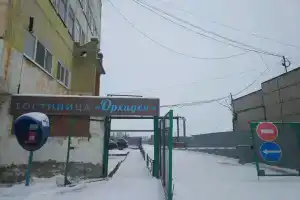 Мужской хостел Орхидея, Пермь