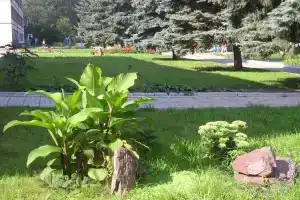 Гостиница «Детский центр Березки», Новокуйбышевск