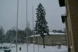 Санаторий «Сосновый мыс» в Выборгском районе