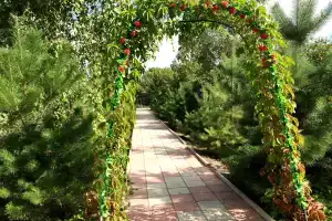 Санаторий «Рябинушка», Грачёвка