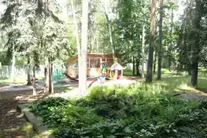 ГБУЗ Московский областной санаторий центр медицинской и социальной реабилитации детей, Малаховка