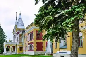 Детский туберкулёзный санаторий «Кирицы» в Спасском районе