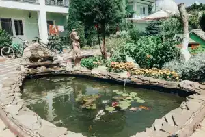 Гостиница «Флора», Приморский