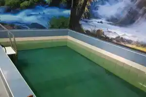 Holiday Home, Калининград