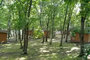 База отдыха «Гринвилль», Находка