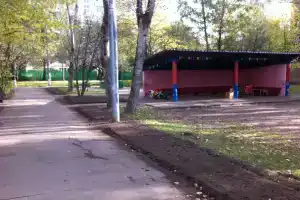 Детский нефрологический санаторий № 9, филиал, Москва