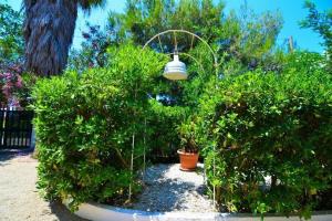 Villa Susy, Пунта-Прошутто