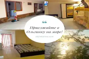 Bon Voyage, Ольгинка