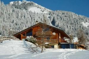 Chalet Les 4 Feuilles, Лейсен