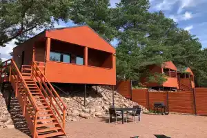 Новый дом студия - Forest Deer