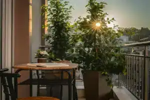 City Gem Apartment, Закинф