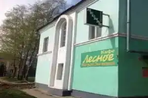 Лесное, Парфино