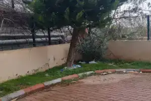 Bayar Homes, Лара