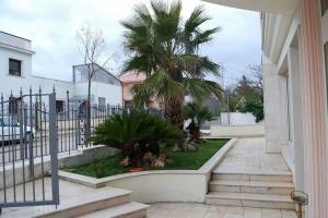 Cotonou, Сан-Джованни Ротондо