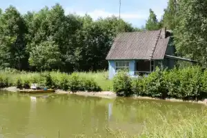Отдых и рыбалка у Филиппыча, Петушки