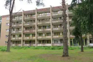 Сокол