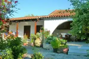 Irini Studios, Аликес