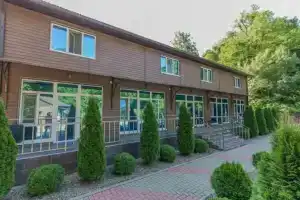 Гостиница «Камелия», Возрождение