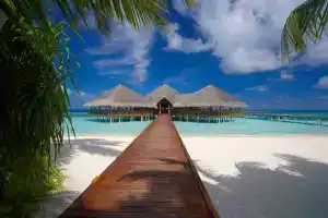 Medhufushi Island Resort, Атолл Мииму