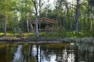 Гуси-Лебеди