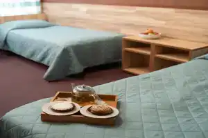 Гостиница «Заречная», Петрозаводск