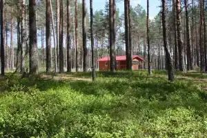 Домик на Ужинском озере в Гдовском районе