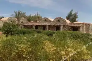 Aliyah Lodge, Бавити