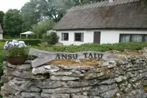 Ansu Guest House, Лейси
