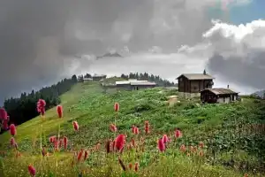 Гостевой дом «Demircioglu Pokut Dag Evi», Чамлыхемшин
