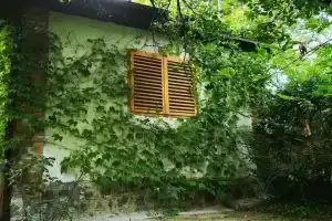 Bocke Beach House, Нови-Сад