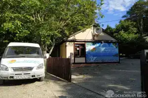База Отдыха «Сосновый Бор», Архипо-Осиповка
