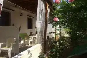 Magnolia Senses, Кинион