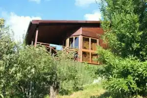 Гостиница «Альпинист», Солоники