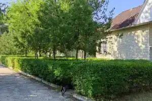 База отдыха «Коробейники», Романовская