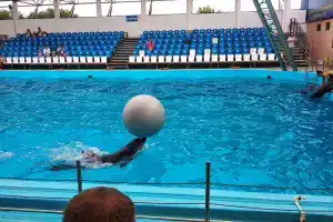 Гостевой дом «Меркурий», Голубицкая