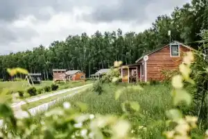 Усадьба Кузьмищево, Кузьмищево