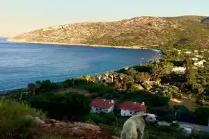 Aybuke Pansiyon, Месудие
