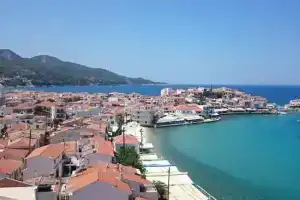 Kamelia, Коккари