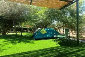 Harnup Camping, Каш