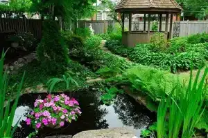 Mornington Rose Bed and Breakfast, Стратфорд