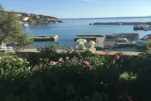 Suzana, Новаля