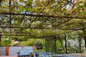 Гостевой дом «Аист», Архипо-Осиповка