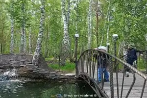 Санаторий-профилакторий Березовая Роща