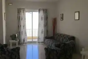 Shamrock, Аура