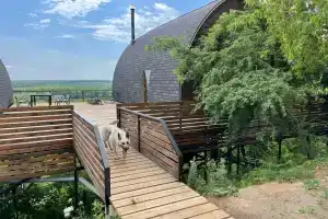 Гостиницы Гостиницы