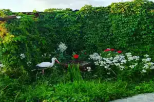 Я, ты и море Яровое