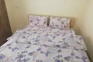 Luxury Home Aydın Gunluk Ev, Айдын