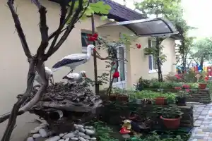 Гостевой дом «золотая рыбка», Архипо-Осиповка