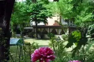 Hotel Delfin, Марина-ди-Масса